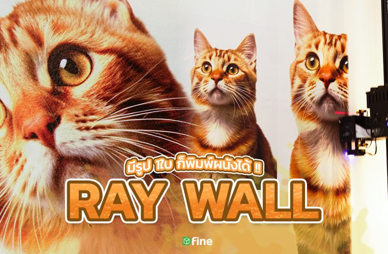 ตัวอย่างงานพิมพ์ผนังด้วยรูปภาพกับ RAY WALL เพ้นท์ผนังง่าย ๆ ไม่ต้องใช้ฝีมือ