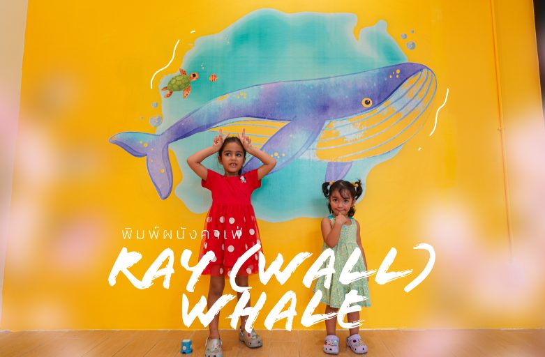 พิมพ์ผนังคาเฟ่ RAY (WALL) WHALE เป็นรูปวาฬน้อย 🐳