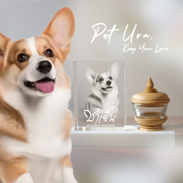 PET URN รุ่น Woddy | โกศสำหรับสัตว์เลี้ยงพร้อมคริสตัลแกะสลัก เก็บความทรงจำ ไม่ลอกหายไปตามกาลเวลา - Image 2