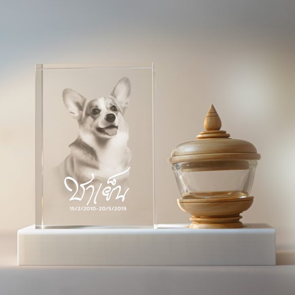 PET URN รุ่น Woddy | โกศสำหรับสัตว์เลี้ยงพร้อมคริสตัลแกะสลัก เก็บความทรงจำ ไม่ลอกหายไปตามกาลเวลา